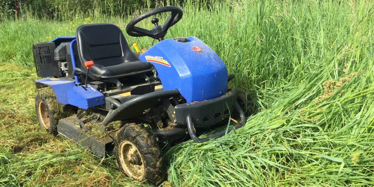 Sud ouest broyage nettoyage terrains bois ronciers